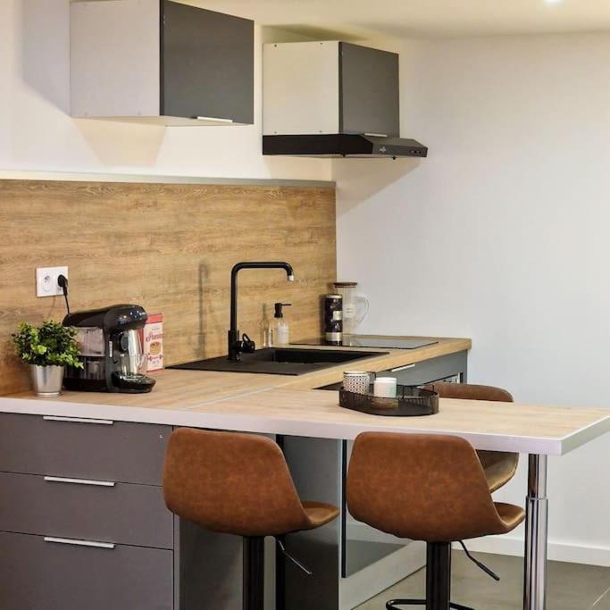 شقة Grand Loft Avec Terrasse Privee سانت إتيان المظهر الخارجي الصورة